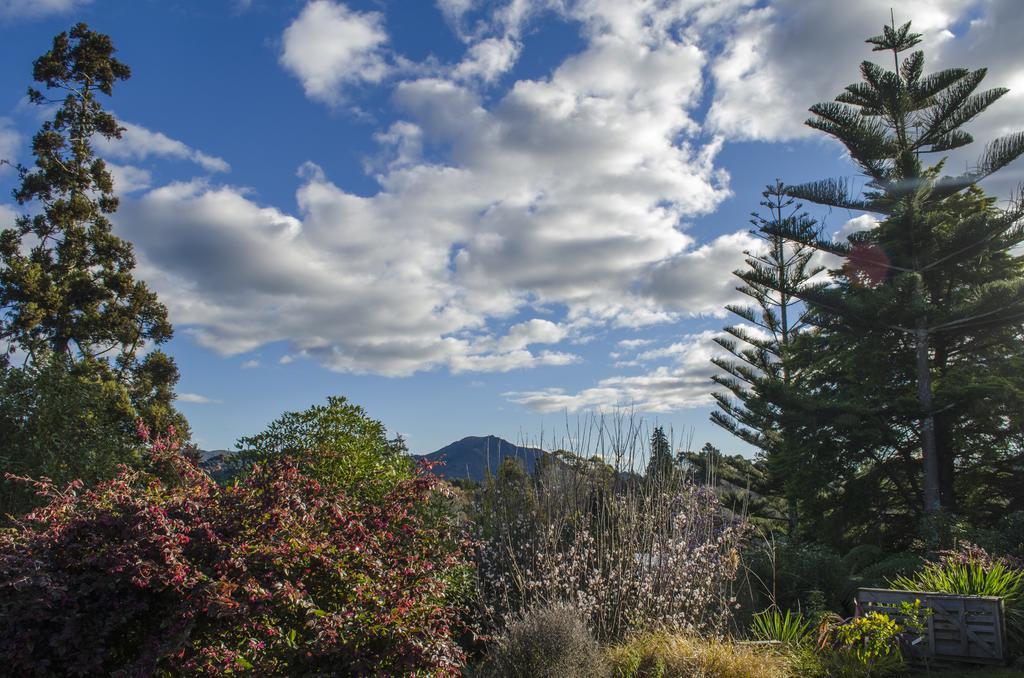 Starry Nights Cabin Fever Waikino ภายนอก รูปภาพ